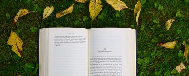 Featured image of post Nature books