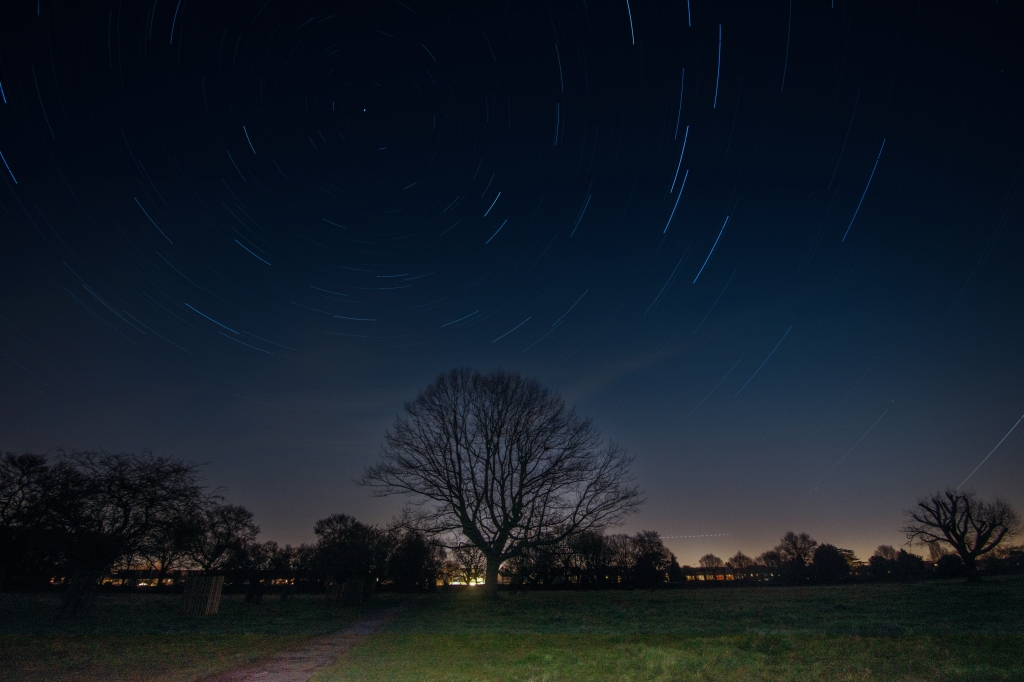 Star trails over the park