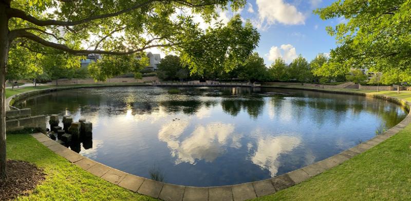 Featured image of post Making the most of ponds