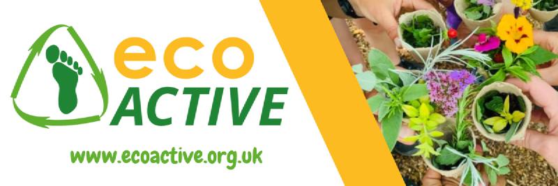 Featured image of post EcoActive and forest school sessions