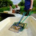 Pond dipping and night-time nature at London Wetland Centre