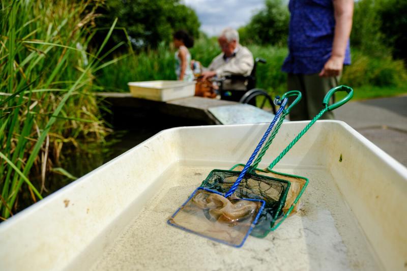 Featured image of post Pond dipping and night-time nature at London Wetland Centre