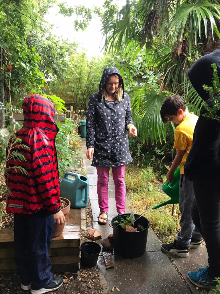 Making a mini-pond