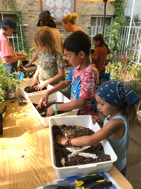 Seed planting