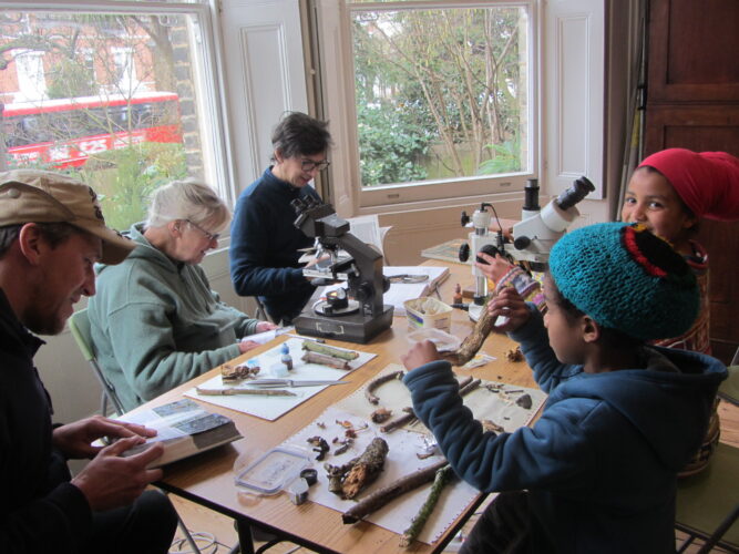 Fungi ID microscope workshop