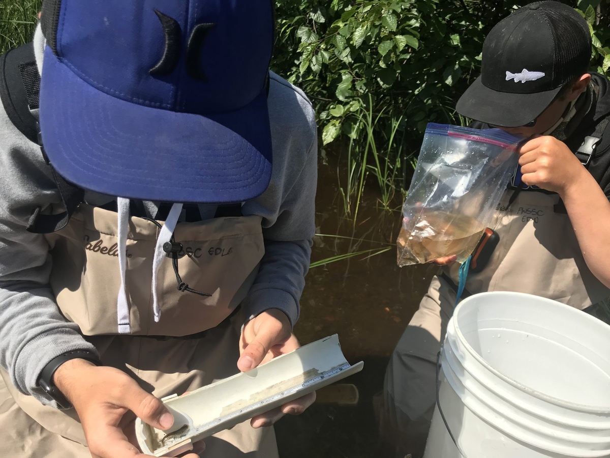 Measuring young fish. Copper River stewardship program.