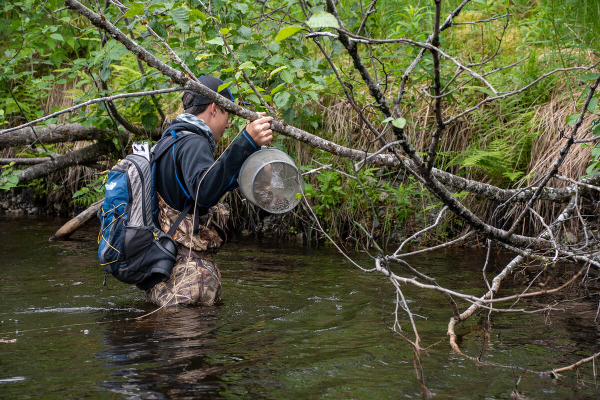 Freshwater monitoring. Copper River stewardship program.