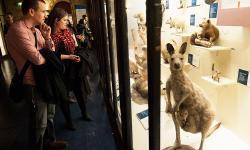 Featured image of post Mammal gallery tour, Part 2