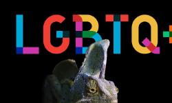 Featured image of post LGBTQ+ tours in Zoology Museums